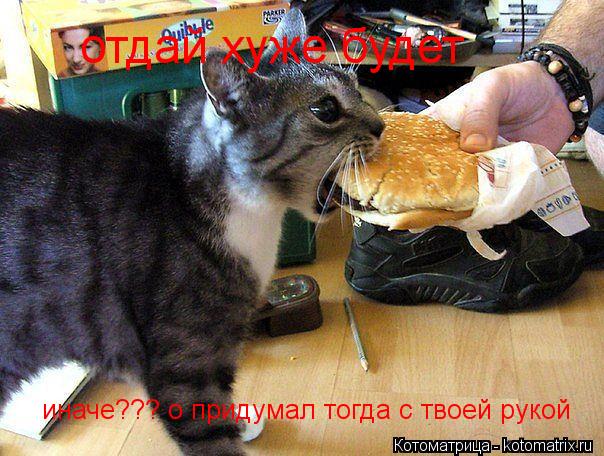 отдай хуже будет иначе??? о придумал тогда с твоей рукой... Котоматрица: отдай хуже будет иначе??? о придумал тогда с твоей рукой