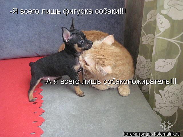 -Я всего лишь фигурка собаки!!! -А я всего лишь собакопожиратель!!!... Котоматрица: -Я всего лишь фигурка собаки!!! -А я всего лишь собакопожиратель!!!