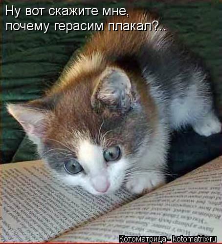 Ну вот скажите мне, почему герасим плакал?..... Котоматрица: Ну вот скажите мне, почему герасим плакал?..