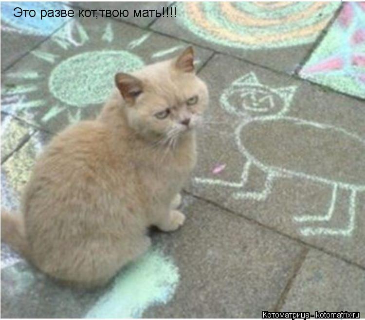 Котоматрица: Это разве кот,твою мать!!!!