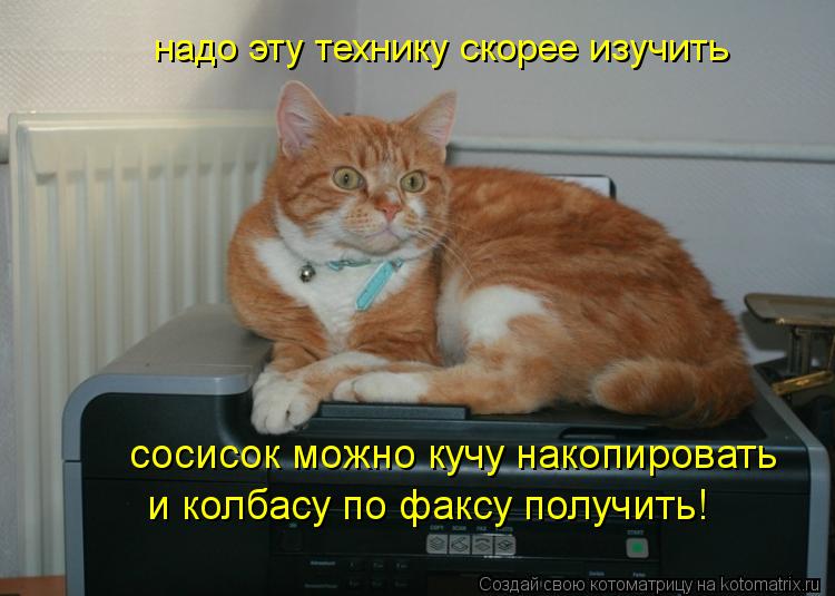 надо эту технику скорее изучить сосисок можно кучу накопировать и колбасу по факсу получить!... Котоматрица: надо эту технику скорее изучить сосисок можно кучу накопировать и колбасу по факсу получить!