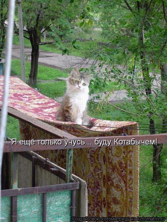 Я ещё только учусь... буду Котабычем!... Котоматрица: Я ещё только учусь... буду Котабычем!