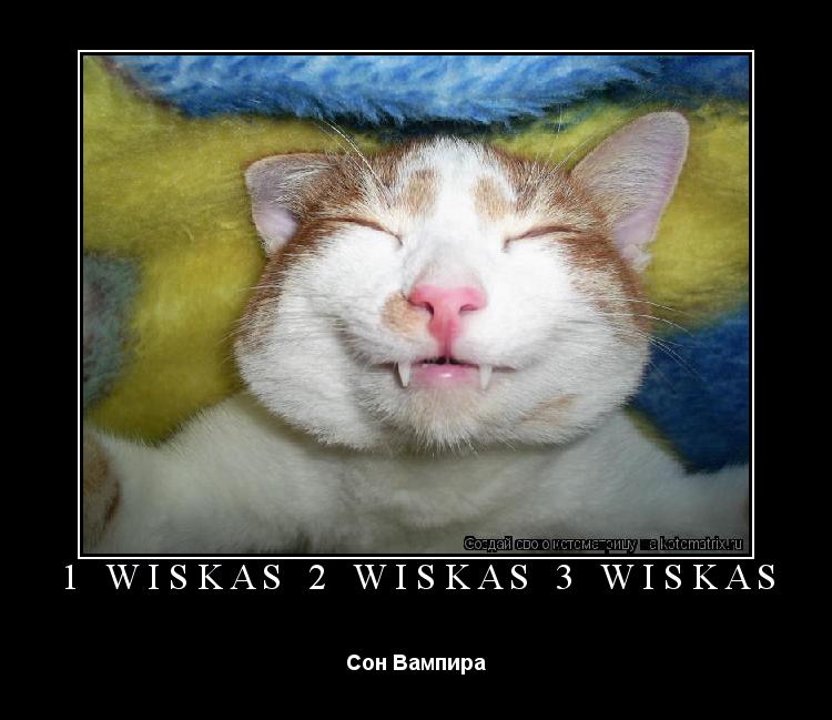 Котоматрица: 1 WISKAS 2 WISKAS 3 WISKAS Сон Вампира