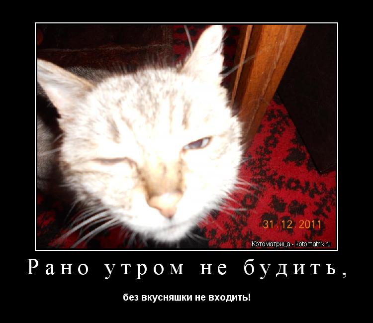 Котоматрица: Рано утром не будить, без вкусняшки не входить!