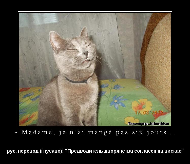 Котоматрица: - Madame, je n’ai mangé pas six jours... рус. перевод (гнусаво): "Предводитель дворянства согласен на вискас"