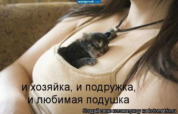 и хозяйка, и подружка, и любимая подушка... Котоматрица: и хозяйка, и подружка, и любимая подушка