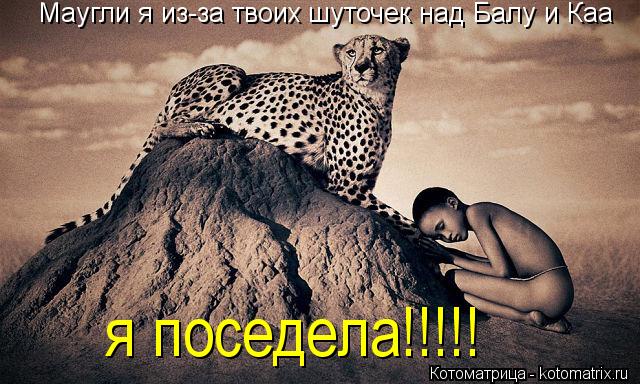 Котоматрица: Маугли я из-за твоих шуточек над Балу и Каа я поседела!!!!!
