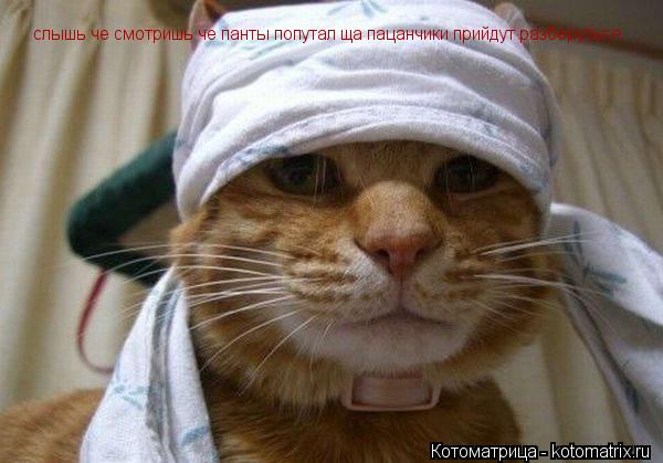 Котоматрица: слышь че смотришь че панты попутал ща пацанчики прийдут разберуться