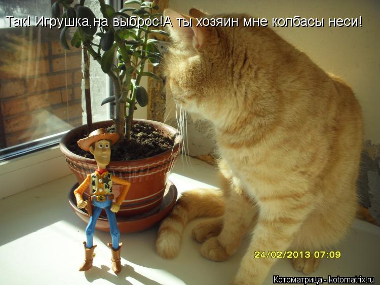 Котоматрица: Так! Игрушка,на выброс!А ты хозяин мне колбасы неси!