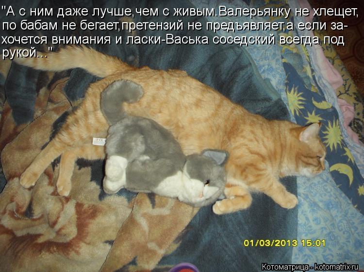Котоматрица: "А с ним даже лучше,чем с живым.Валерьянку не хлещет, по бабам не бегает,претензий не предъявляет,а если за- хочется внимания и ласки-Васька с