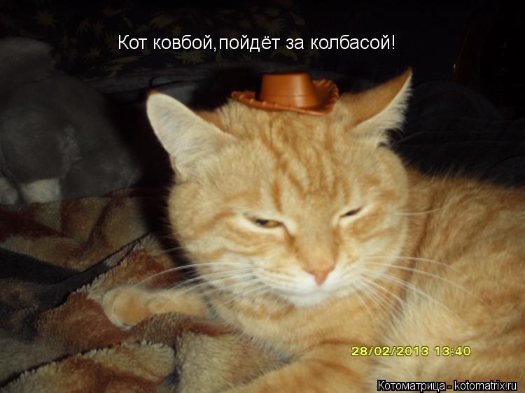 Котоматрица: Кот ковбой,пойдёт за колбасой!