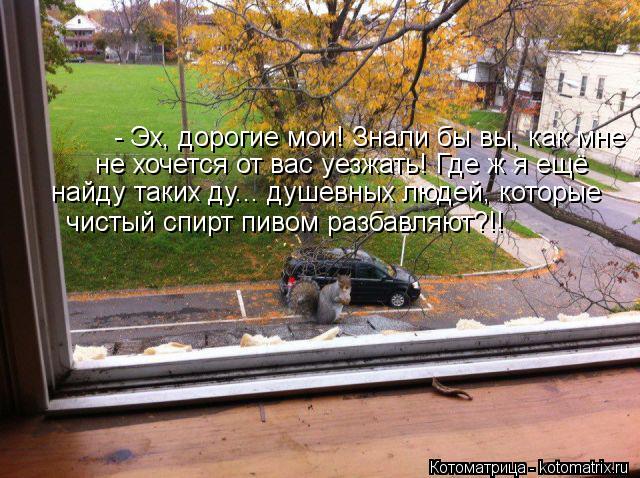 - Эх, дорогие мои! Знали бы вы, как мне не хочется от вас уезжать! Где ж я ещё найду таких ду... ду... Котоматрица: - Эх, дорогие мои! Знали бы вы, как мне не хочется от вас уезжать! Где ж я ещё найду таких ду... душевных людей, которые чистый спирт пивом разб