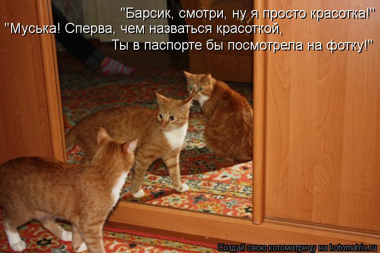 Котоматрица: "Барсик, смотри, ну я просто красотка!"                            "Муська! Сперва, чем назваться красоткой,                           "Муська! Сперва, чем назваться к