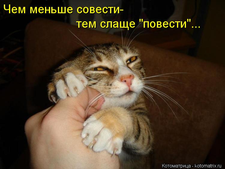 Чем меньше совести- тем слаще "повести"...... Котоматрица: Чем меньше совести- тем слаще "повести"...