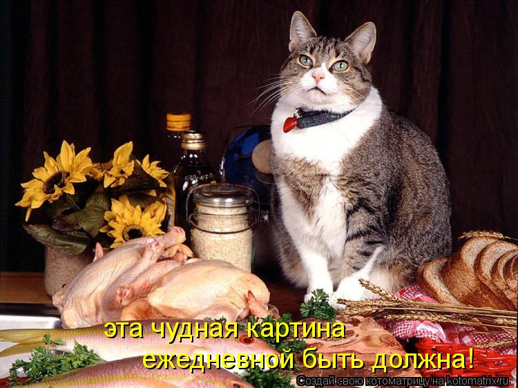 Котоматрица: эта чудная картина ежедневной быть должна!