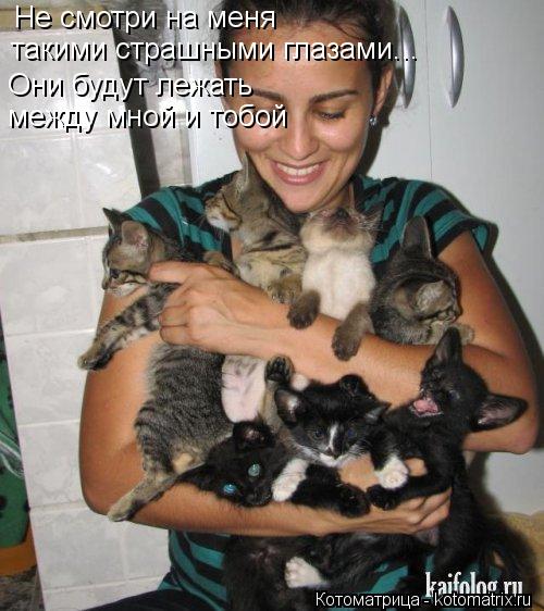 Не смотри на меня такими страшными глазами... Они будут лежать между мной и тобой... Котоматрица: Не смотри на меня такими страшными глазами... Они будут лежать между мной и тобой