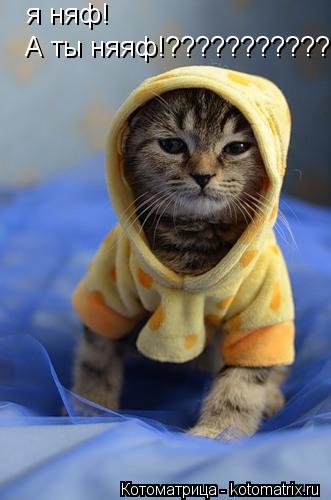 Котоматрица: я няф! А ты няяф!??????????????