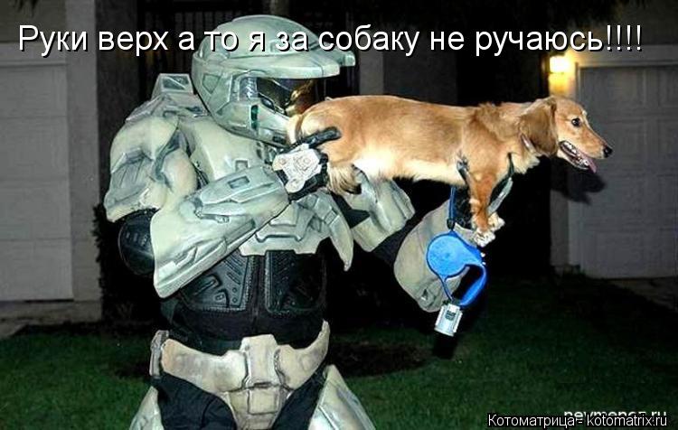 Руки верх а то я за собаку не ручаюсь!!!!... Котоматрица: Руки верх а то я за собаку не ручаюсь!!!!
