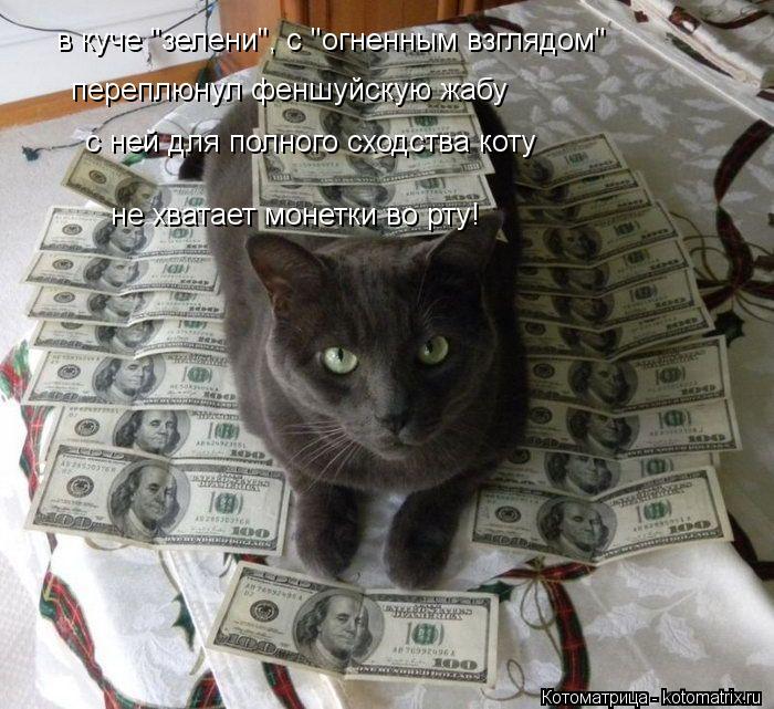 Котоматрица: в куче "зелени", с "огненным взглядом" переплюнул феншуйскую жабу с ней для полного сходства коту не хватает монетки во рту!
