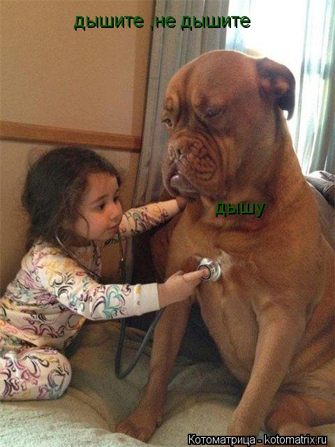 дышите ,не дышите дышу... Котоматрица: дышите ,не дышите дышу