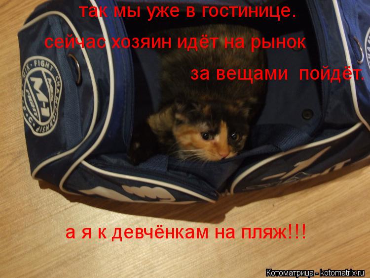 Котоматрица: сейчас хозяин идёт на рынок  за вещами  пойдёт. так мы уже в гостинице. а я к девчёнкам на пляж!!!