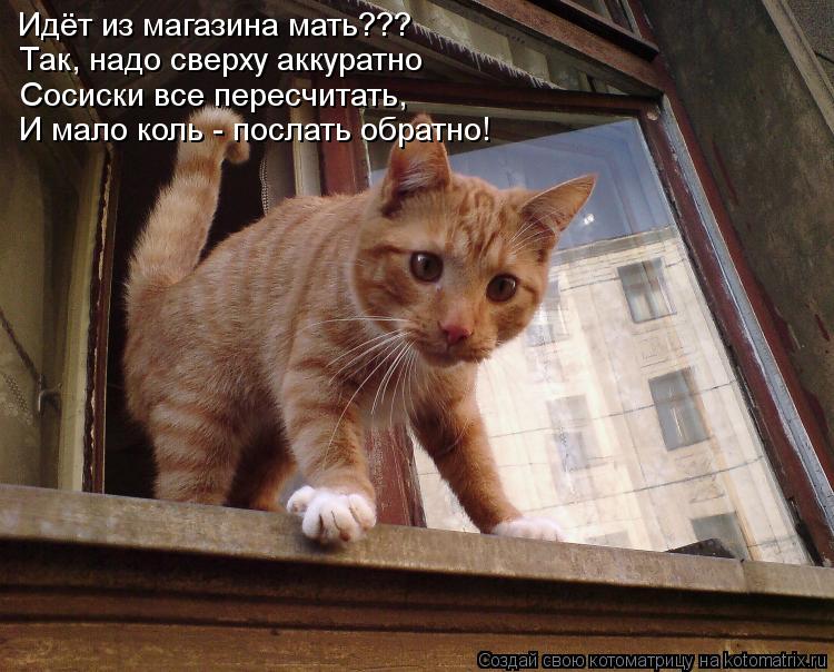 Идёт из магазина мать??? Так, надо сверху аккуратно Сосиски все пересчитать, И мало коль - послать об... Котоматрица: Идёт из магазина мать??? Так, надо сверху аккуратно Сосиски все пересчитать, И мало коль - послать обратно!