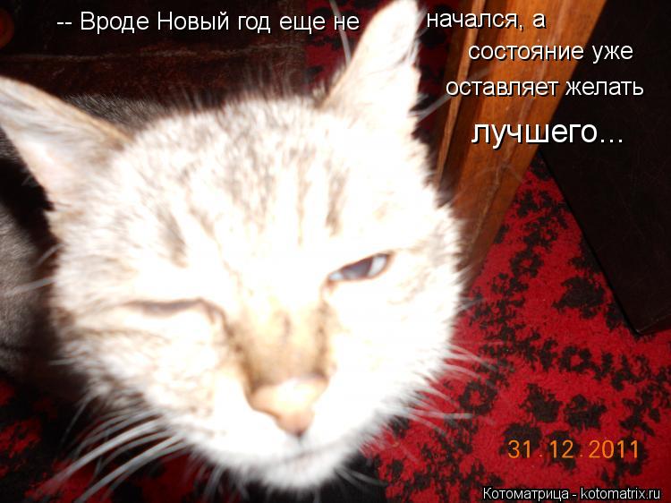 Котоматрица: -- Вроде Новый год еще не начался, а состояние уже оставляет желать лучшего...