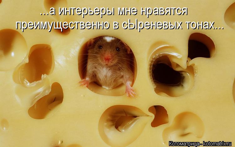 ...а интерьеры мне нравятся преимущественно в сЫреневых тонах...... Котоматрица: ...а интерьеры мне нравятся преимущественно в сЫреневых тонах...