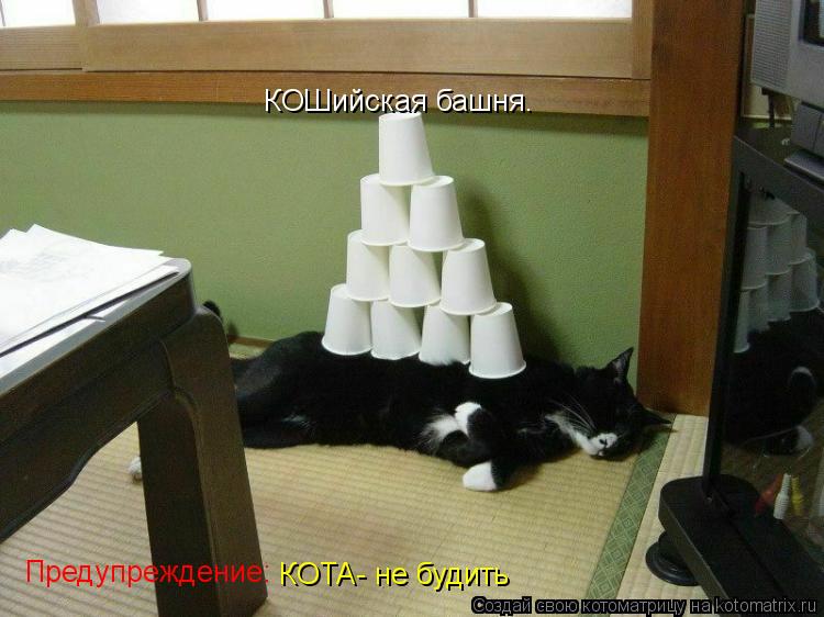 Котоматрица: КОШийская башня. Предупреждение: КОТА- не будить