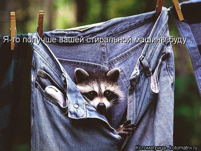 Котоматрица: Я-то получше вашей стиральной машины буду....