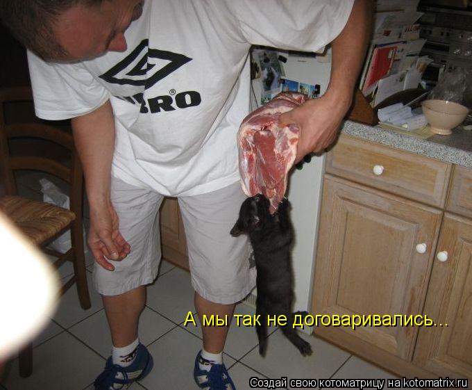 А мы так не договаривались...... Котоматрица: А мы так не договаривались...
