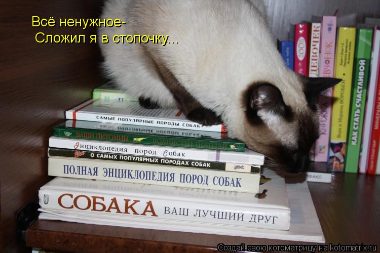 Котоматрица: Всё ненужное- Сложил я в стопочку...