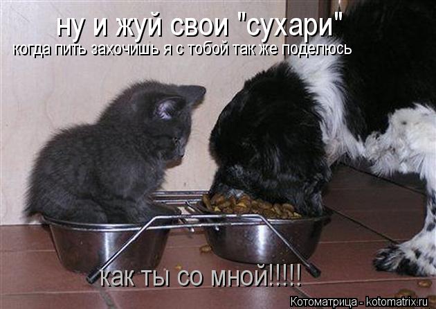 Котоматрица: как ты со мной!!!!!  ну и жуй свои "сухари"  когда пить захочишь я с тобой так же поделюсь