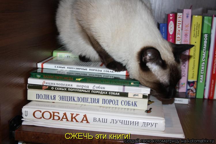 Котоматрица: СЖЕЧЬ эти книги!