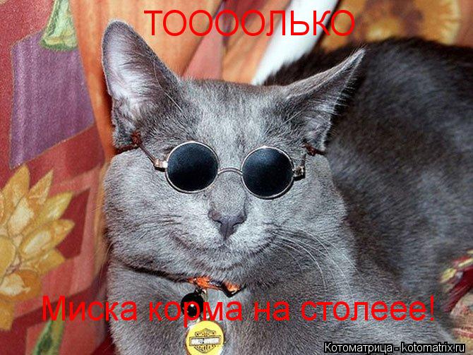 Котоматрица: ТООООЛЬКО Миска корма на столеее!