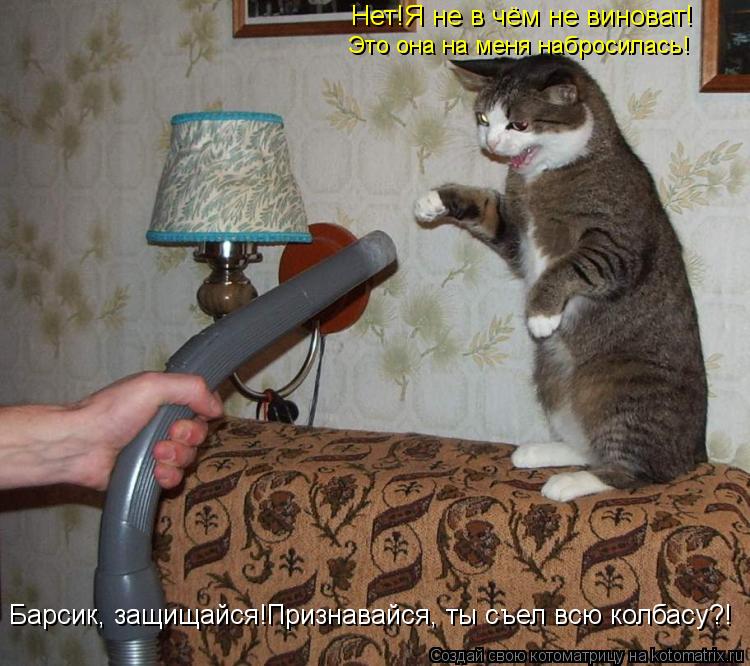 Котоматрица: Барсик, защищайся!Признавайся, ты съел всю колбасу?! Нет!Я не в чём не виноват! Это она на меня набросилась!