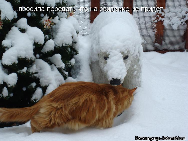 ...просила передать что на свидание не придет... Котоматрица: ...просила передать что на свидание не придет