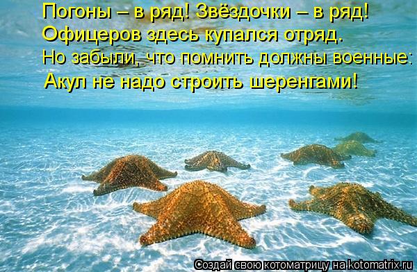 Погоны – в ряд! Звёздочки – в ряд! Офицеров здесь купался отряд. Но забыли, что помнить должны военны... Котоматрица: Погоны – в ряд! Звёздочки – в ряд! Офицеров здесь купался отряд. Но забыли, что помнить должны военные: Акул не надо строить шеренгами!