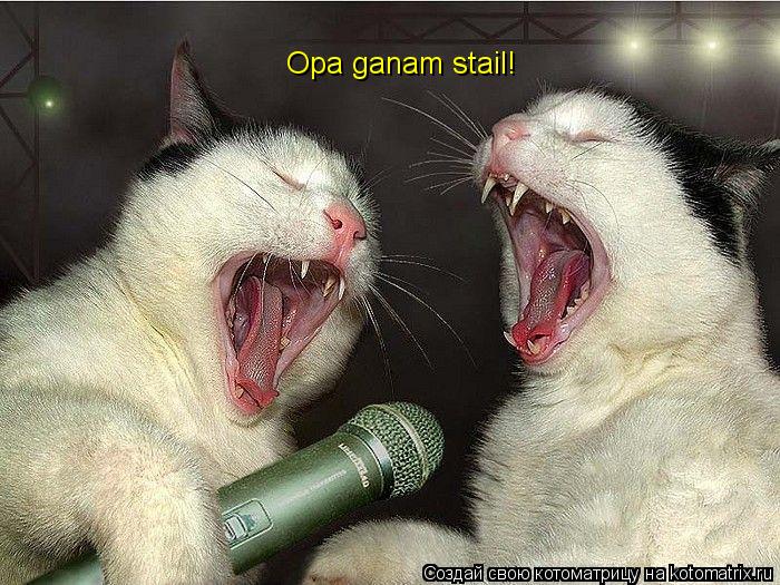 Котоматрица: Opa ganam stail!