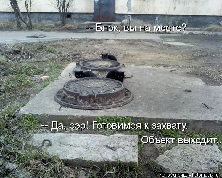 -- Блэк, вы на месте? -- Да, сэр! Готовимся к захвату. Объект выходит...... Котоматрица: -- Блэк, вы на месте? -- Да, сэр! Готовимся к захвату. Объект выходит...