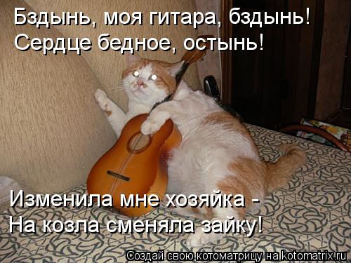 Котоматрица: Бздынь, моя гитара, бздынь! Сердце бедное, остынь! Изменила мне хозяйка - На козла сменяла зайку!