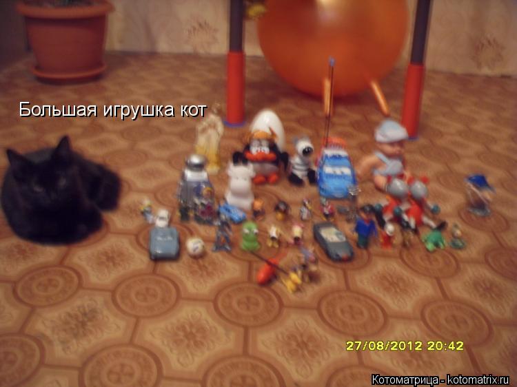 Котоматрица: Большая игрушка кот