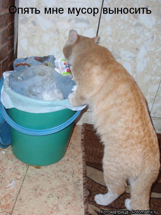 Опять мне мусор выносить... Котоматрица: Опять мне мусор выносить