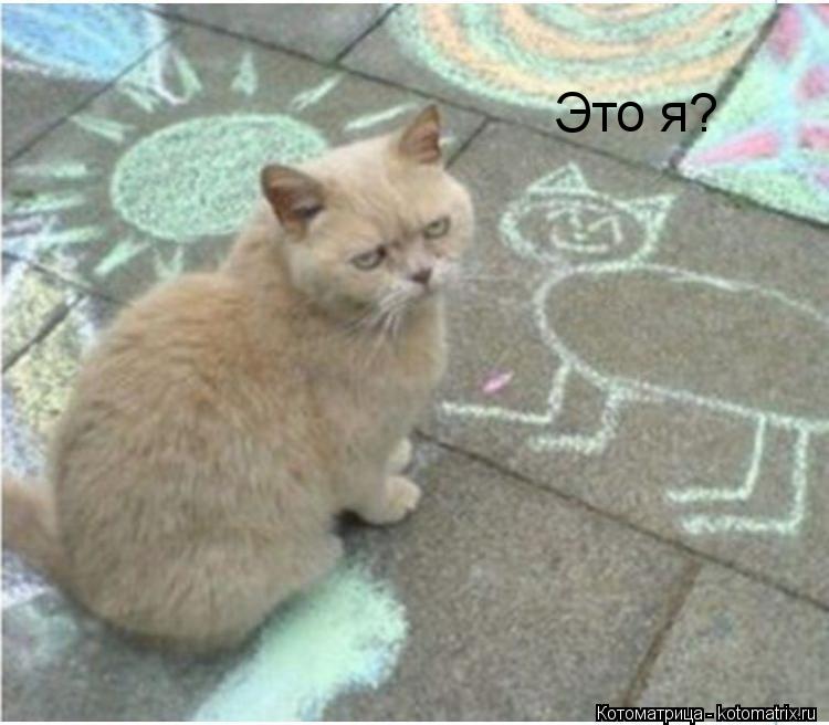 Котоматрица: Это я?