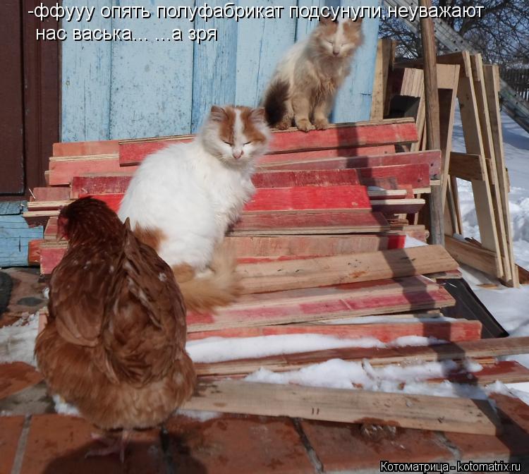 Котоматрица: -ффууу опять полуфабрикат подсунули,неуважают нас васька... ...а зря