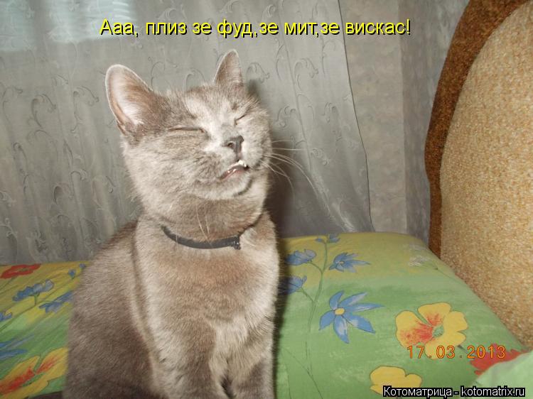 Котоматрица: Ааа, плиз зе фуд,зе мит,зе вискас!
