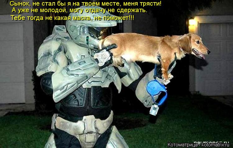 Котоматрица: Сынок, не стал бы я на твоем месте, меня трясти!  А уже не молодой, могу отдачу не сдержать. Тебе тогда не какая маска, не поможет!!!