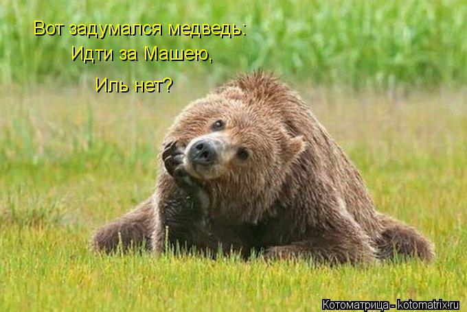 Котоматрица: Вот задумался медведь: Идти за Машею, Иль нет?