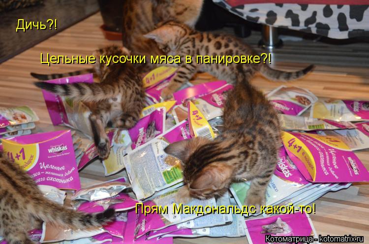 Котоматрица: Дичь?! Цельные кусочки мяса в панировке?! Прям Макдональдс какой-то!