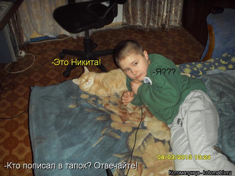 Котоматрица: -Кто пописал в тапок? Отвечайте! -Это Никита! -Я???